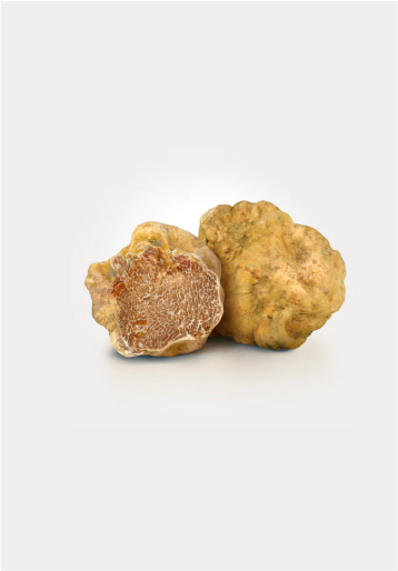 White Truffles